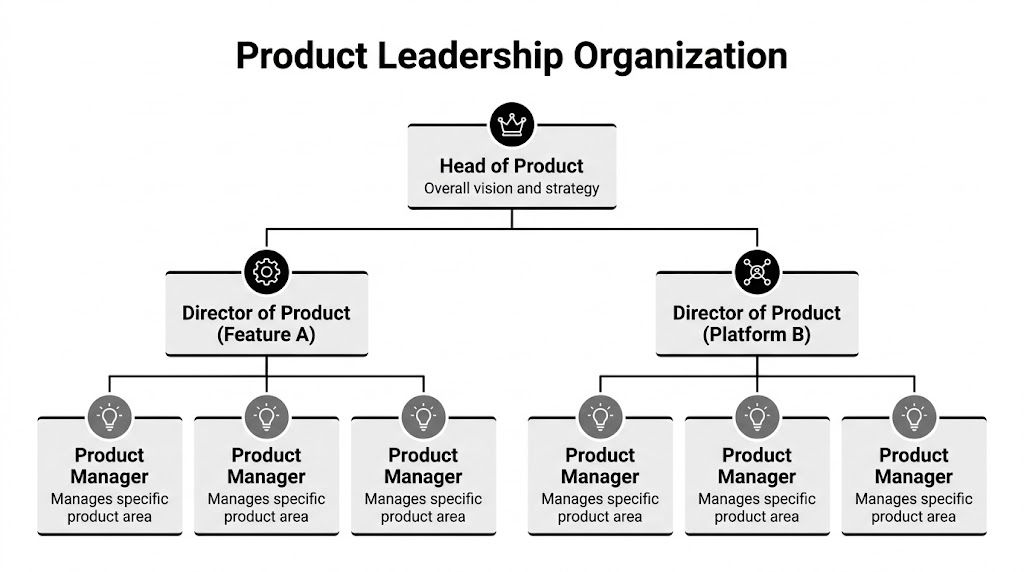 A hierarchical organizational chart illustrating the leadership structure of a product development team from head to manager.